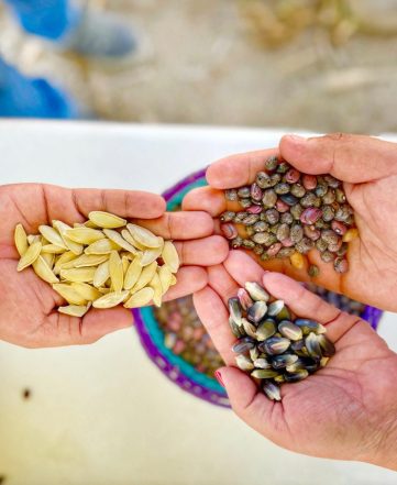 Equipo Buscame Travel